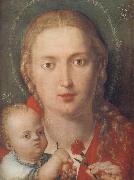 Albrecht Durer, The Madonna with a Carna-tion
